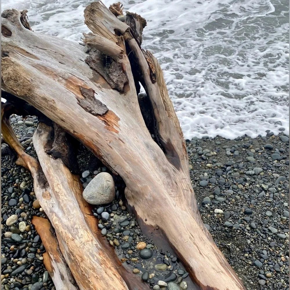 Sand + Paws Odor Neutralizing Scented Candle - Ocean & Driftwood, 21oz, 3 Wick - Picture 5 of 11